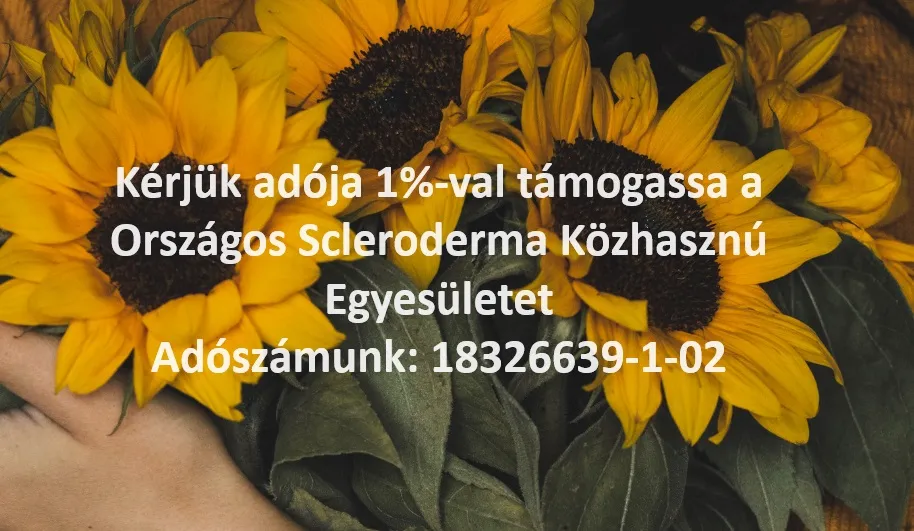 adó 1%